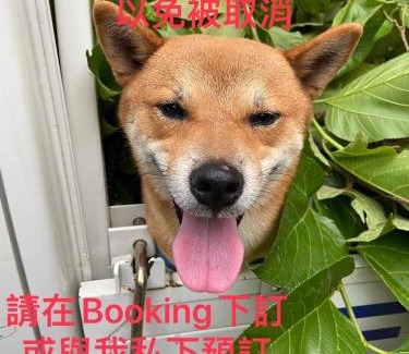Shitan Casa | 進泉莊民宿 有卡拉ok可以烤肉可以帶寵物