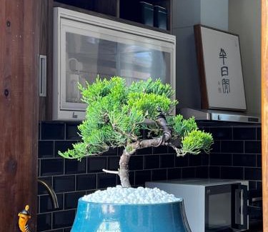 Jinning Cama Y Desayuno | 金門悠哉悠古厝民宿 Yozaiyo39 B&B