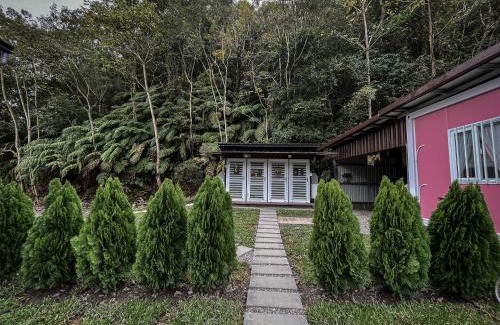 Datong Otro | 鉄木彩虹小屋