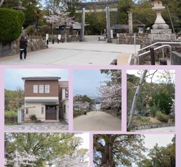Tanabe Casa | 闘鶏の家