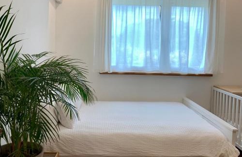 Jocheon Casa | 함덕리준하네