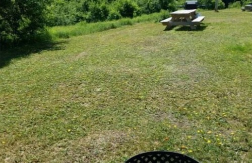 Stewartstown Cabina | 04) Moose Place Cabin