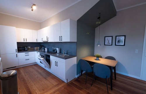 Brunsbuttel Apartamento | 078 Spacious modern apartment right in the center