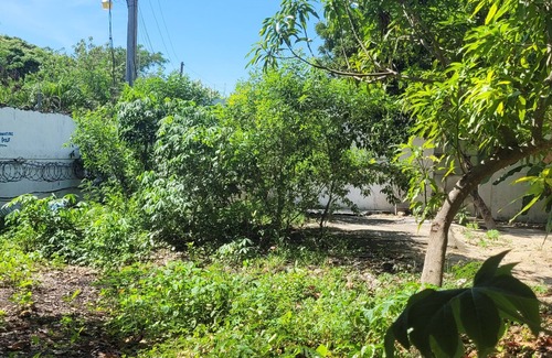 Guayacanes Apartamento | 1 and 2-bed rms apt Across Juan Dolio