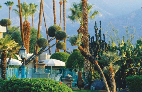 Araby Commons Condominio | The Desert Isle - 1 hab Villa