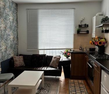 Tooting Apartamento | 1 bed cozy apartment central London