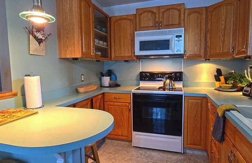 Fenton Apartamento | 1-Bed Furnished Apartment, close to Fenton, Michigan. Pets welcome. 1-car Garage