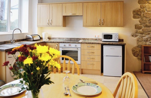 St Austell Cabaña | Alojamiento de 1 habitación en St Austell