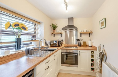 Llanybydder Cabaña | 1 bedroom accommodation in Gorsgoch