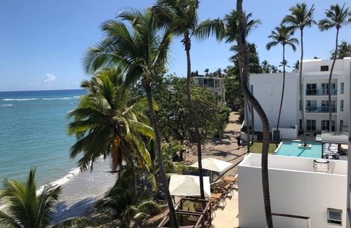 Cabarete Apartamento | 1 Bedroom Garden View Presidential Suites Cabarete