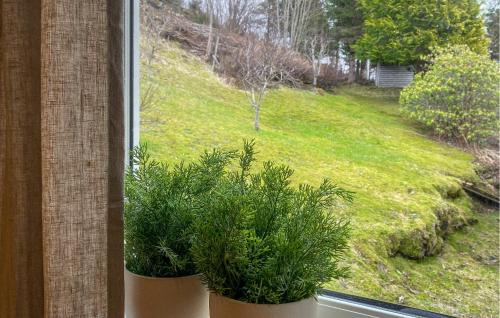 Torjulvagen Apartamento | 1 Bedroom Gorgeous Apartment In Kvisvik
