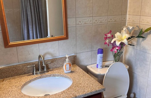Clason Point Apartamento | 1-bedroom in the Bronx next to nearby parks and ferry.