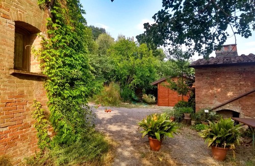 Capannoli Cama Y Desayuno | 1 Bedroom Bed & breakfast in San Pietro Belvedere