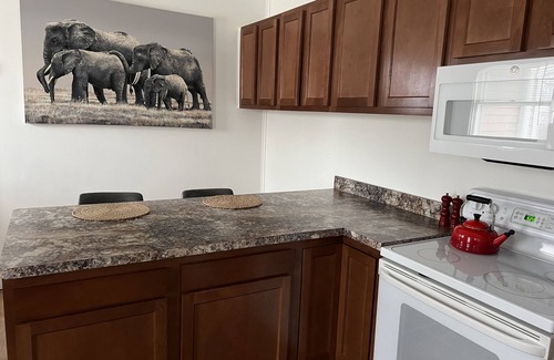 Cheboygan Apartamento | 1 Bedroom with King bed. Full bath. Spacious apartment with a Safari theme.
