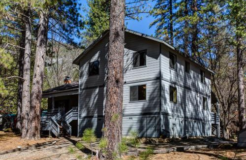 North Wawona Casa | 1 Cabin Among the Firs