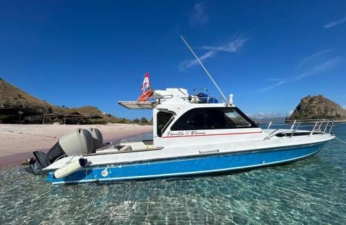 Labuan Bajo Alquiler De Eote | 1 Day Fast boat trip Komodo By Bestkomodotour