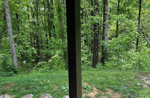 Allons Casa | 1 mile from Dale Hollow Lake Mitchell Creek Marina with boat rental available