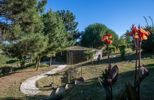 Alcobaca Cabaña | 1. Rustic Rondavel with Wood-burner & Sauna – Long-stay Winter Retreat