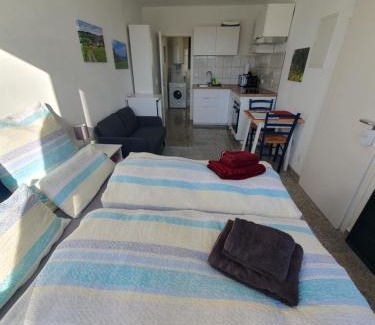 Sankt Georgen im Schwarzwald Apartamento | 1-Zimmer-Wohnung-EG Fewo 2 Rupertsberg