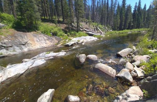 Oakhurst Casa | 10-acre Forest Villa, Single Floor, Hot tub, Patio