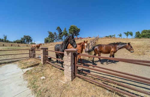 Temecula Apartamento | 10 Acres Ranch w/ Horses, Pond, and more!