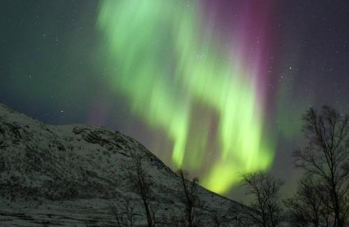 Austvagoy Casa | 10 person holiday home in Laukvik