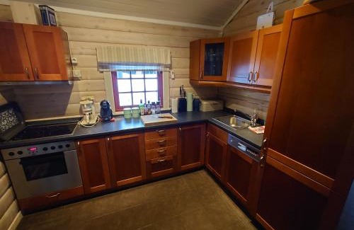 Kviteseid Casa | 100m lift, 2 min swim - Large family cabin