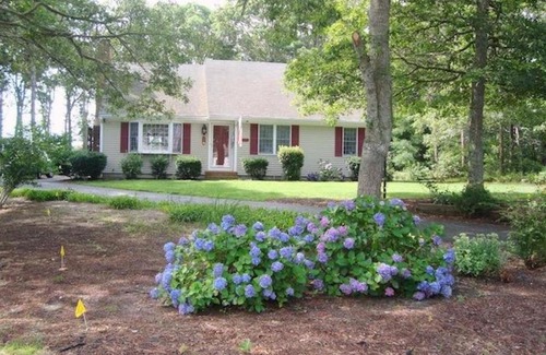 Harwich Center Casa | 11 Cranwood Road Harwich Cape Cod- -Aoibhneas