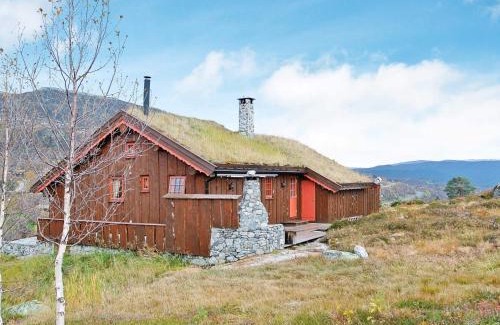 Vinje Casa | 11 person holiday home in Edland