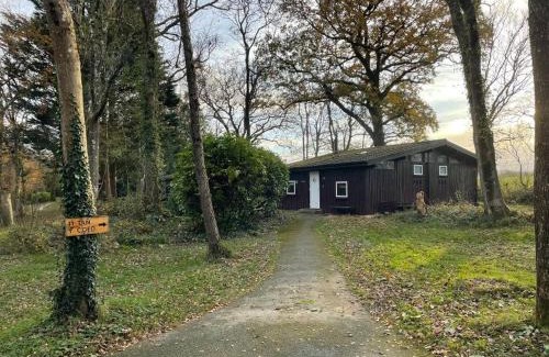 Cenarth Casa | 11 Tan-y-coed Woodland Lodge