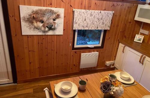Cenarth Casa | 11 Tan-y-coed Woodland Lodge