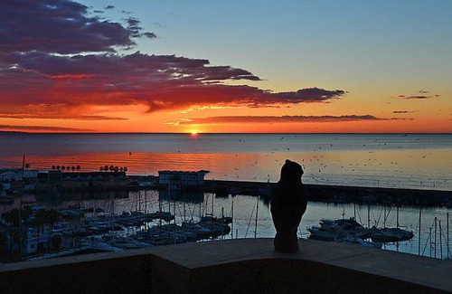 Estepona Apartamento | 110 m² Apartamento ∙ 2 habitaciones ∙ 4 personas