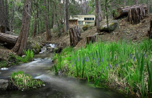 North Wawona Chalet De Esquí | 11R Spring Meadow Retreat