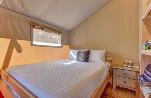 Johnson City Otro | 12 Fires Luxury Glamping #1