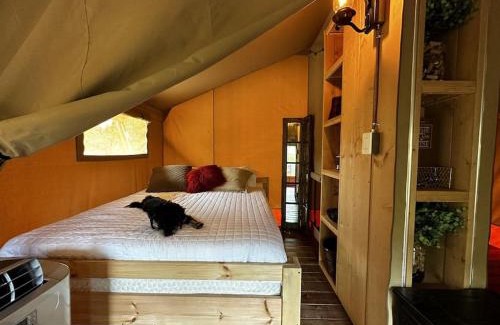 Johnson City Otro | 12 Fires Luxury Glamping #5