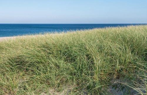 Vrist Strand Casa | 12 person holiday home in Harboøre-By Traum