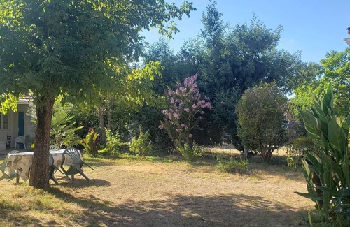 Naujac-Sur-Mer Casa | playa Pin Sec 5 min