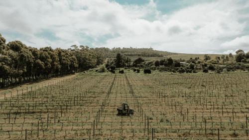 Helderberg Rural Casa | 13 Olives, Entire Grape & Olive Estate, Somerset West by Euphoric Leisure