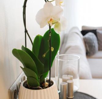 Maakri Apartamento | 13th Floor Cityview Luxury