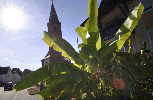 Fischbach bei Dahn Apartamento | 140 m² Apartamento ∙ 2 habitaciones ∙ 4 huéspedes