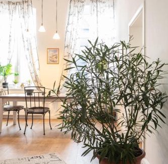 Hamelin Apartamento | 150 qm Luxus im Zentrum