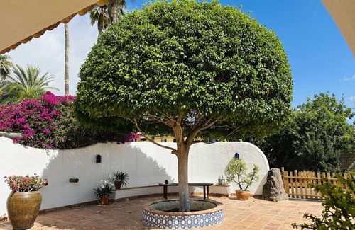Costa Adeje Otro | 159 m² Alojamiento ∙ 2 habitaciones ∙ 5 huéspedes