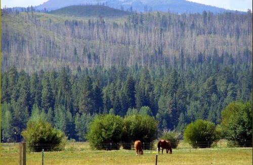 Black Butte Ranch Casa | 15th Fairway Retreat