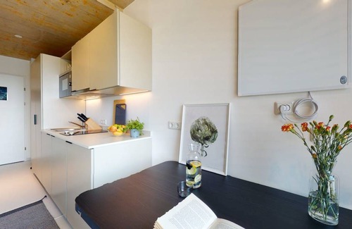 Kaisermuhlen Apartamento | 17 m² Apartamento ∙ 1 huésped