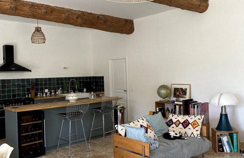 Saint-Etienne-du-Gres Otro | 17th century farmhouse between Avignon and Arles / 14 people