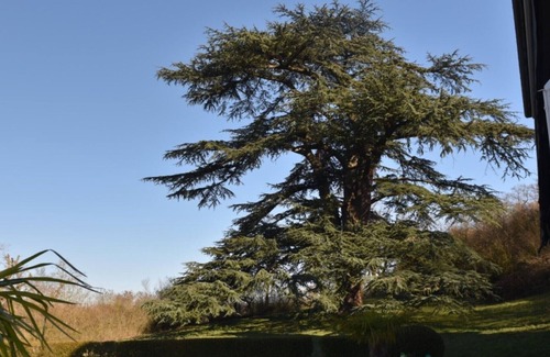 Neauphle-le-Chateau Casa | Relevo del siglo XVIII