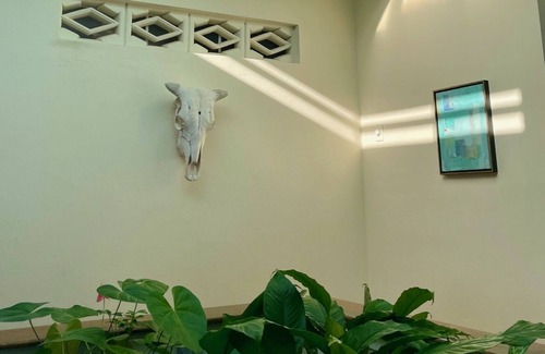 Isabel II Villa | 180 Degree ocean views