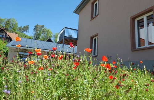 Fischbach bei Dahn Apartamento | 180 m² Apartamento ∙ 4 habitaciones ∙ 8 huéspedes