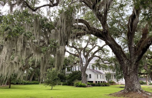 Jeanerette Casa | 1842 Mansion on the Bayou