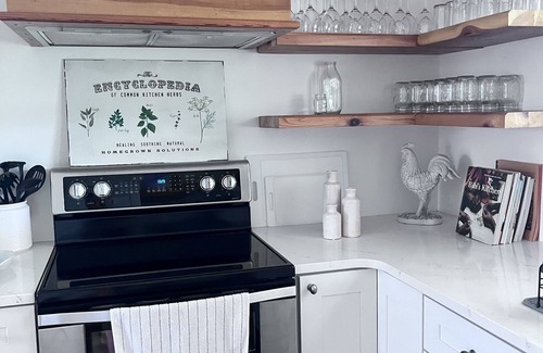 Luray Otro | 1875 FARMHOUSE completely renovated with a spectacular Blue Ridge Mountain view!